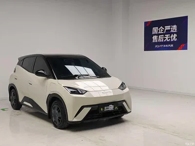 2025 Byd Seagull, фото 3, лот 10243948