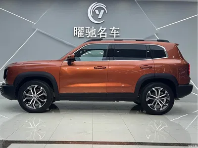 2021 Haval Big Dog 1.5T DCT 2WD Malinois - Wangcai Edition, фото 3, лот 10361722