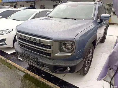 2024 Haval Big Dog 1.5T DCT Border Collie Edition, фото 1, лот 10481938