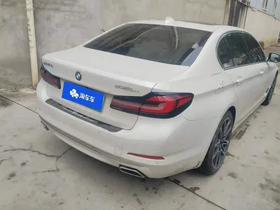 2020 BMW 5 Series New Energy 530Le Range Upgrade Luxury Package, фото 3, лот 10838328