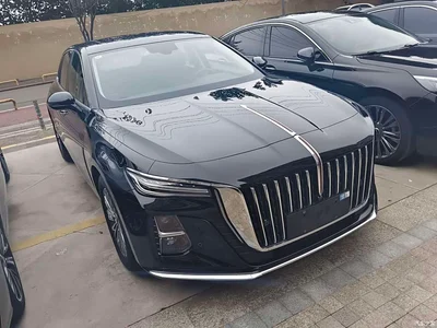 2024 Hongqi H5 1.5T DCT Smart Connect Flag Joy Edition, фото 3, лот 11203031