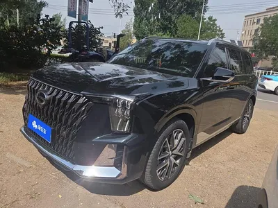 2022 GAC Trumpchi Trumpchi GS8 Dual Engine Series 2.0TM 2WD Premium Edition (7-Seater), фото 1, лот 10416873