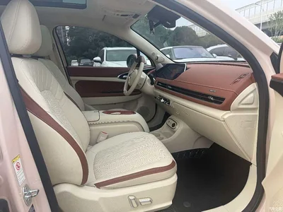 2023 Ora Good Cat 401km Standard Range Premium LFP, фото 4, лот 10331547