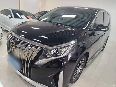 2021 GAC Trumpchi Trumpchi M8 Master Series 390T 4-Seat Premium Edition, фото 1, лот 10422688