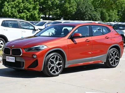 2019 BMW X2 (Import) sDrive25i Premium M Off-Road Package China VI, фото 1, лот 10599941