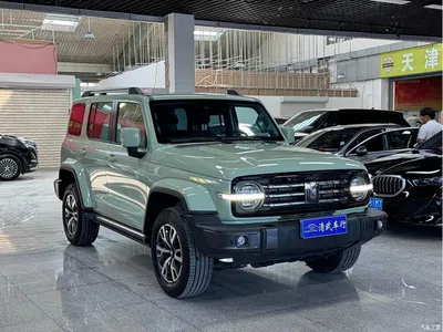2021 Tank 300 Urban Edition 2.0T Stylish, фото 3, лот 10344591