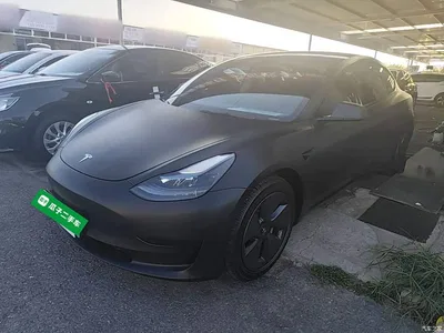 2022 Tesla Model 3 Model Rear-Wheel Drive Version, фото 1, лот 10369616