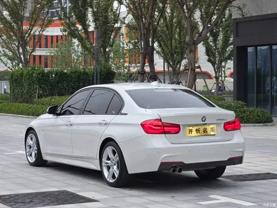 2017 BMW 3 Series 320Li M Sport, фото 4, лот 10769159