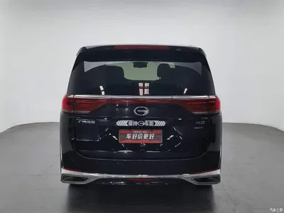 2021 GAC Trumpchi Trumpchi M8 Leading Show Series 390T Ultimate Edition, фото 4, лот 10605418