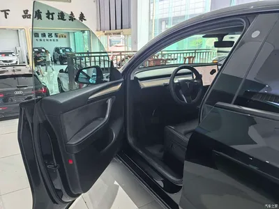 2022 Tesla Model Y Rear-Wheel Drive Version, фото 4, лот 11081780