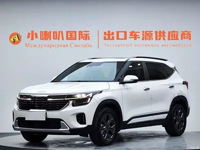2023 Kia Seltos 1.5L CVT Luxury Edition, фото 1, лот 10336918