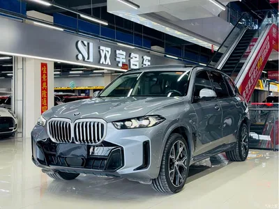 2023 BMW X5 xDrive 30Li Premium M Sport Black Night Package, фото 1, лот 10463066
