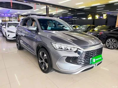 2023 BYD Song Pro New Energy Champion Edition DM-i 110KM Excellence, фото 4, лот 11199083