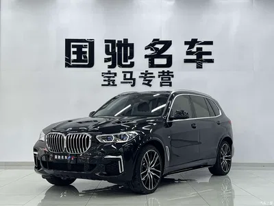 2022 BMW X5 xDrive 30Li Premium M Sport Package, фото 1, лот 10410939