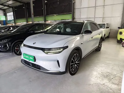 2021 Leapmotor C11 Luxury Edition, фото 2, лот 10441655