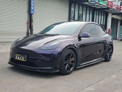 2023 Tesla Model Y Rear-Wheel Drive Edition, фото 1, лот 11242517