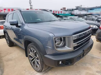 2024 Haval Big Dog 1.5T DCT Border Collie Edition, фото 4, лот 10361308