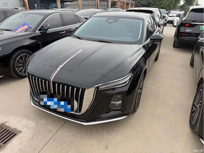 2025 Hongqi H5 2.0T Automatic Flag Celebration 500,000 Units Anniversary Edition, фото 1, лот 10415763