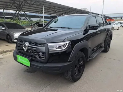 2021 Great Wall Pao 2.0T Off-Road Automatic Diesel 4WD Everest Edition GW4D20M, фото 1, лот 10767698