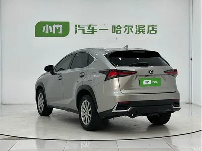 2020 Lexus NX 200 AWD F Sport China V, фото 4, лот 10312933