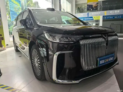 2025 Voyah Auto Voyah Dreamer Model PHEV 4WD Premium QianKun Edition, фото 3, лот 10616075