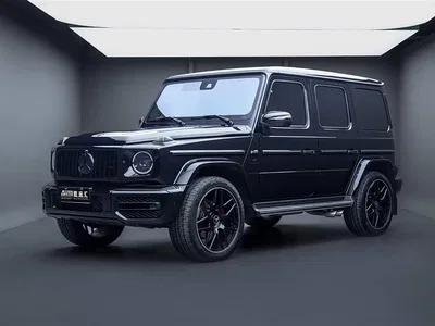 2024 Mercedes-Benz G-Class G 350, фото 1, лот 10261019