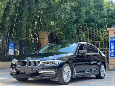 2020 BMW 5 Series New Energy 530Le Luxury Package, фото 1, лот 10474366