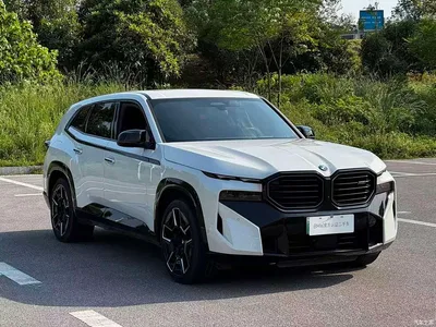 2023 BMW XM 50e, фото 4, лот 10393839