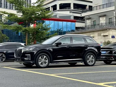 2020 Venucia Star 260T Automatic 48V Mild Hybrid Turbo Star Enjoy Edition, фото 1, лот 11165181