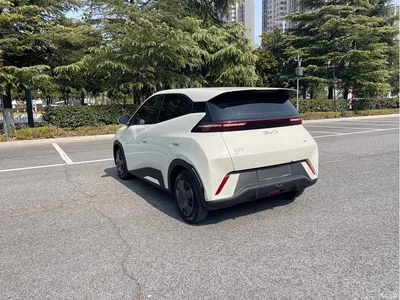 2024 BYD Seagull Glory Edition 305km Vitality Edition, фото 4, лот 10255479