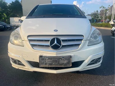 2009 Mercedes-Benz B-Class B 200 Luxury, фото 2, лот 10287539