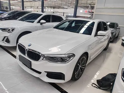 2020 BMW 5 Series 530Li Exclusive M Sport Package, фото 1, лот 11225768
