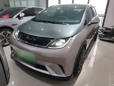 2021 BYD Dolphin 401km Knight Edition, фото 3, лот 11191662