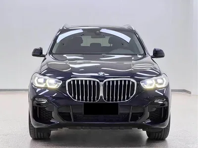 2020 BMW X5 (Import) xDrive40i M Sport Package, фото 2, лот 10463679