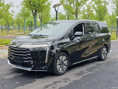 2024 GAC Trumpchi Trumpchi E8 NEV 150km Soaring Glory+, фото 1, лот 11243108