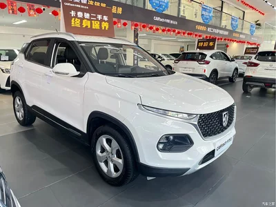 2019 Baojun 510 Model 1.5L Automatic Premium Comfort Version China V, фото 3, лот 10402932