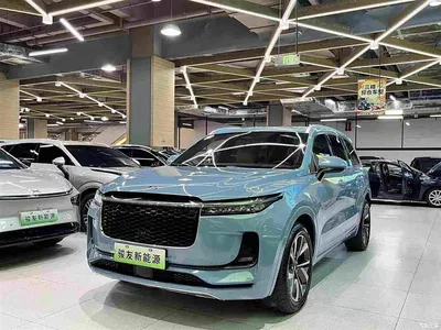 2021 Li Auto Li ONE Extended Range 6-Seater, фото 1, лот 10824982