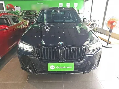 2022 BMW X3 xDrive30i Premium M Night Package, фото 3, лот 11081136
