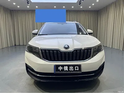 2022 Škoda Kamiq 1.5L Automatic Comfort Edition, фото 2, лот 10348644
