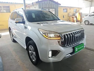 2022 Haval H9 2.0T Gasoline 4WD Smart Enjoyment 5-seater, фото 4, лот 10287218