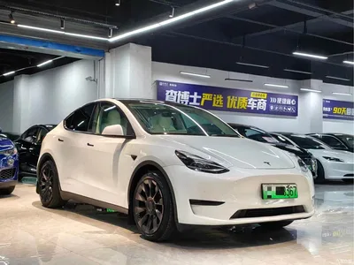 2022 Tesla Model Y Long Range AWD, фото 3, лот 10392927