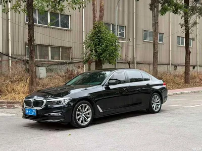 2018 BMW 5 Series 528Li Launch Special Edition, фото 1, лот 10478832