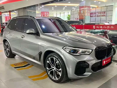 2022 BMW X5 Facelift xDrive 40Li Premium M Sport Package, фото 2, лот 10463075