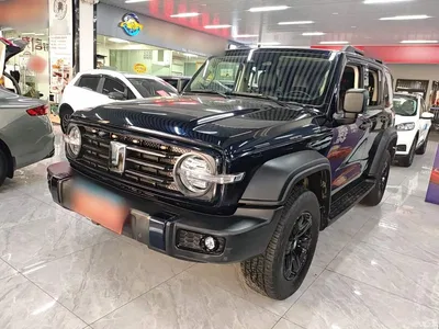 2023 Tank 300 Off-Road Edition 2.0T Conqueror, фото 1, лот 10345634