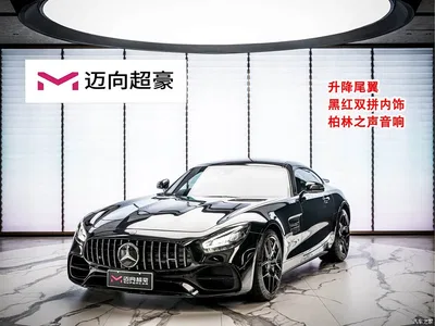2019 Mercedes-Benz AMG GT, фото 1, лот 10250773