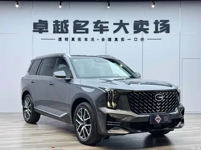 2022 GAC Trumpchi Trumpchi GS8 Pilot Series 2.0TGDI 2WD Premium Edition (7-Seater), фото 3, лот 10416300