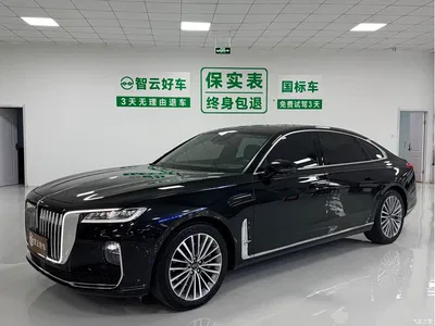 2020 Hongqi H9 2.0T Smart Connection Qi Chang Edition, фото 1, лот 10287999