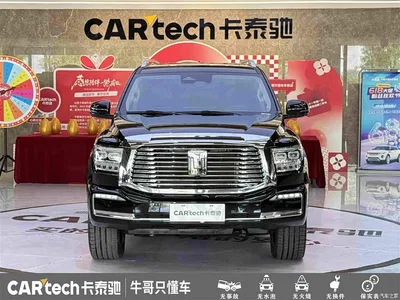 2022 Tank 500 3.0T Business Edition Zaojing 5-Seater, фото 2, лот 10356404