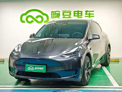 2024 Tesla Model Y Rear-Wheel Drive Version, фото 1, лот 11230522