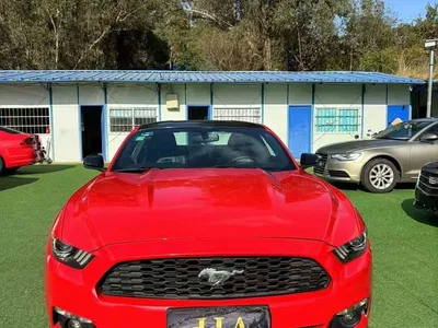2017 Ford Mustang 2.3T Performance Edition, фото 2, лот 10279418